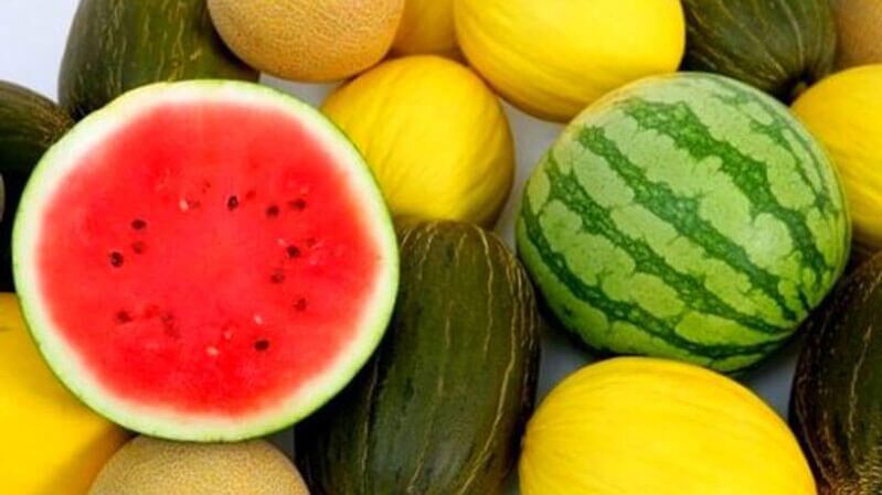 Watermelon and melon - berries are dangerous for diabetics